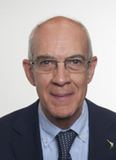 On. Guido De Martini