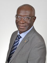 Sen. Tony Iwobi